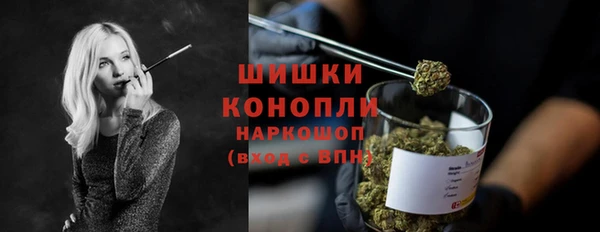 ешки Бородино