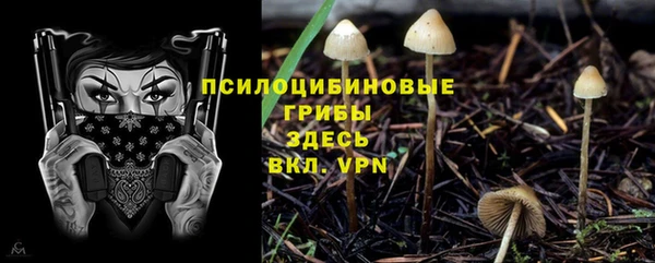 ешки Бородино