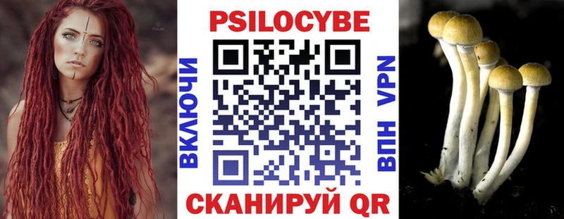 MEGA ONION  Верхоянск  Галлюциногенные грибы мицелий 